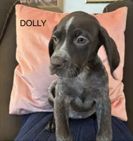 processed/7dbdb57c-3006-4cd5-903e-87403c6ffc65/listing/5101a956-faf1-4510-8c80-a2da900386e1/a0b62191-d701-403e-b996-39e4afc2ccf3