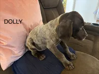 processed/7dbdb57c-3006-4cd5-903e-87403c6ffc65/listing/5101a956-faf1-4510-8c80-a2da900386e1/c738d649-2a72-47ea-9a26-8cfd7183308d