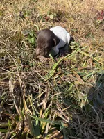 processed/7dbdb57c-3006-4cd5-903e-87403c6ffc65/listing/5101a956-faf1-4510-8c80-a2da900386e1/d7c26e12-de3c-4b80-8b5f-b038429fa70f