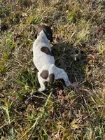 processed/7dbdb57c-3006-4cd5-903e-87403c6ffc65/listing/765f275b-2f4a-4286-9b4e-a229d3474f8c/4e5140c6-9836-4d43-b611-a9cbe695d2e0