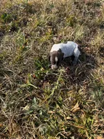 processed/7dbdb57c-3006-4cd5-903e-87403c6ffc65/listing/765f275b-2f4a-4286-9b4e-a229d3474f8c/a5f56b87-a2b6-461b-837f-6fda2f0d1db2