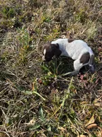 processed/7dbdb57c-3006-4cd5-903e-87403c6ffc65/listing/765f275b-2f4a-4286-9b4e-a229d3474f8c/c1365d71-037d-4a3e-a14b-0972d99ec8ce