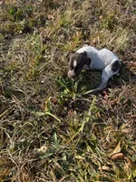 processed/7dbdb57c-3006-4cd5-903e-87403c6ffc65/listing/765f275b-2f4a-4286-9b4e-a229d3474f8c/c1fed337-7f36-46f0-9644-bc84a38671d0