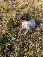 processed/7dbdb57c-3006-4cd5-903e-87403c6ffc65/listing/b6f5031f-32b3-4d55-b6f1-98181e0337d2/9dad8c90-a506-4e3c-bc46-abba29401129