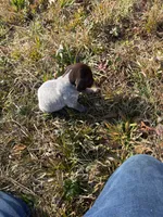 processed/7dbdb57c-3006-4cd5-903e-87403c6ffc65/listing/b6f5031f-32b3-4d55-b6f1-98181e0337d2/a7b3ee04-49f8-4d30-b8e7-ace5c904ea4b