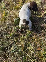 processed/7dbdb57c-3006-4cd5-903e-87403c6ffc65/listing/b6f5031f-32b3-4d55-b6f1-98181e0337d2/fbf24614-c65f-4502-8548-d29b66c4ff7e