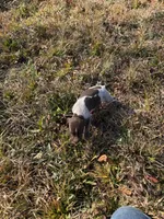 processed/7dbdb57c-3006-4cd5-903e-87403c6ffc65/listing/c44ab6ed-5f6c-463e-8758-54989216cd27/6e6a28b6-0917-417c-a482-f6db876f4082