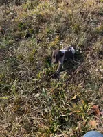 processed/7dbdb57c-3006-4cd5-903e-87403c6ffc65/listing/c44ab6ed-5f6c-463e-8758-54989216cd27/7c8b3900-f8ca-4efc-a374-25351dcb00a4