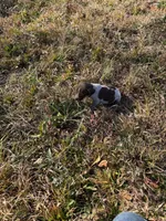 processed/7dbdb57c-3006-4cd5-903e-87403c6ffc65/listing/c44ab6ed-5f6c-463e-8758-54989216cd27/c4d4159e-29c9-4f78-9ab5-233b3b6d2569