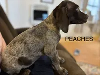 processed/7dbdb57c-3006-4cd5-903e-87403c6ffc65/listing/ec4d9a94-efb3-49cf-b8e2-0b0c08abb392/23da0bfb-4269-4bfe-bf66-6402ea657821