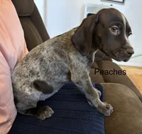 processed/7dbdb57c-3006-4cd5-903e-87403c6ffc65/listing/ec4d9a94-efb3-49cf-b8e2-0b0c08abb392/24c0600a-a0b8-4649-aca7-bd60685b9580