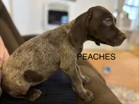 processed/7dbdb57c-3006-4cd5-903e-87403c6ffc65/listing/ec4d9a94-efb3-49cf-b8e2-0b0c08abb392/6d1df87a-fec5-49bf-a172-415a01d85d3d