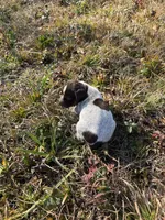 processed/7dbdb57c-3006-4cd5-903e-87403c6ffc65/listing/ec4d9a94-efb3-49cf-b8e2-0b0c08abb392/95d833a5-5c38-492a-a954-544b79b827bc