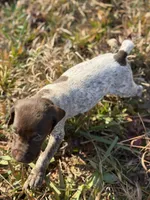 processed/7dbdb57c-3006-4cd5-903e-87403c6ffc65/listing/ec4d9a94-efb3-49cf-b8e2-0b0c08abb392/b0ebbf55-6efe-4da9-8553-a89e05c26ac2