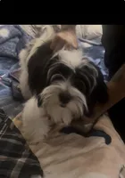 processed/7dbe72cb-2ca5-4aff-a4f4-f1bb3e33f152/listing/b7e05235-ff74-463b-85e7-10f41154ae84/46dba5c2-81bf-43a5-bf23-2b8f45714e3a