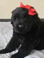 processed/7dcf7124-8518-490b-963a-97eea226ba5b/listing/0407030c-802a-45cc-8203-e10ffc31ce78/4147d6a3-e177-4bd2-9459-31d0b2b5d51a