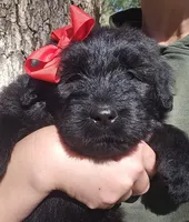 processed/7dcf7124-8518-490b-963a-97eea226ba5b/listing/0407030c-802a-45cc-8203-e10ffc31ce78/99fc7586-0c4b-44e0-a637-249b0e893b83