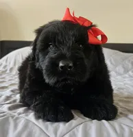 processed/7dcf7124-8518-490b-963a-97eea226ba5b/listing/0407030c-802a-45cc-8203-e10ffc31ce78/a3a9eaa7-c7d6-4795-bf2f-70f21ec45859