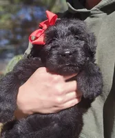 processed/7dcf7124-8518-490b-963a-97eea226ba5b/listing/0407030c-802a-45cc-8203-e10ffc31ce78/bf42c92f-e7fb-4fc0-ae17-e7a174d77c37