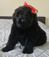 processed/7dcf7124-8518-490b-963a-97eea226ba5b/listing/0407030c-802a-45cc-8203-e10ffc31ce78/d2aa1006-83ad-45a6-8325-e9dcb96d6037