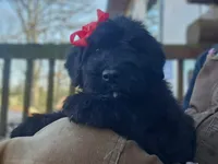 processed/7dcf7124-8518-490b-963a-97eea226ba5b/listing/33f9fbd8-c7df-4c61-8d30-13bdbb37d1d2/2c40baa8-b4a6-47c0-a688-322f084d137d