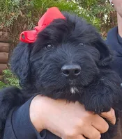 processed/7dcf7124-8518-490b-963a-97eea226ba5b/listing/33f9fbd8-c7df-4c61-8d30-13bdbb37d1d2/5f4ce971-5192-4c1a-b036-27d41106ed3d