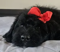 processed/7dcf7124-8518-490b-963a-97eea226ba5b/listing/33f9fbd8-c7df-4c61-8d30-13bdbb37d1d2/6927ff2a-5e8a-414b-bffb-71a75bedae67