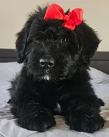 processed/7dcf7124-8518-490b-963a-97eea226ba5b/listing/33f9fbd8-c7df-4c61-8d30-13bdbb37d1d2/8c0a8ed7-9b0c-482d-8692-9be493c5c9cb