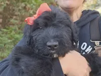 processed/7dcf7124-8518-490b-963a-97eea226ba5b/listing/33f9fbd8-c7df-4c61-8d30-13bdbb37d1d2/ac5e9e9b-b712-469f-b7b9-fda6d9a1c2dd