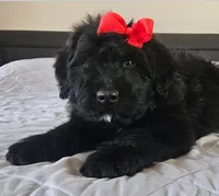 processed/7dcf7124-8518-490b-963a-97eea226ba5b/listing/33f9fbd8-c7df-4c61-8d30-13bdbb37d1d2/dc770a6e-9ba8-448a-852b-5520dca8c43e