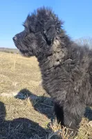 processed/7dcf7124-8518-490b-963a-97eea226ba5b/listing/97180c98-0286-480c-91be-cc85d114b139/131e6843-07f2-4ac5-920f-e3531e0f8890