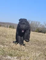 processed/7dcf7124-8518-490b-963a-97eea226ba5b/listing/97180c98-0286-480c-91be-cc85d114b139/200ff252-82af-4d04-b51f-d93f9ee6c629