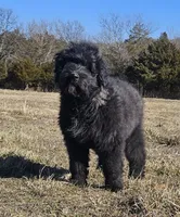 processed/7dcf7124-8518-490b-963a-97eea226ba5b/listing/97180c98-0286-480c-91be-cc85d114b139/36a668dd-77a1-4d64-88e3-a470d8b2f250