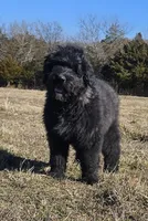 processed/7dcf7124-8518-490b-963a-97eea226ba5b/listing/97180c98-0286-480c-91be-cc85d114b139/37fae1a1-edc6-4aed-abb5-13fad0544fd4