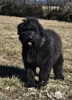 processed/7dcf7124-8518-490b-963a-97eea226ba5b/listing/97180c98-0286-480c-91be-cc85d114b139/65d5e899-0d6c-4733-be46-eb0b02c2e948