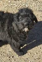 processed/7dcf7124-8518-490b-963a-97eea226ba5b/listing/97180c98-0286-480c-91be-cc85d114b139/dc2ae868-2705-4e32-97a9-ce025841f3b5