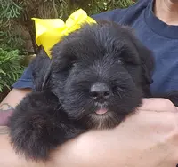 processed/7dcf7124-8518-490b-963a-97eea226ba5b/listing/97180c98-0286-480c-91be-cc85d114b139/e3ccbe9b-4d16-4cbb-b879-62829c24ccbb