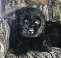 processed/7dcf7124-8518-490b-963a-97eea226ba5b/listing/df0c95bf-8358-463d-91c4-a0c4f25a5b83/0568b9a8-f77b-467a-81bb-a7abdad076d5