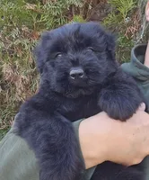 processed/7dcf7124-8518-490b-963a-97eea226ba5b/listing/df0c95bf-8358-463d-91c4-a0c4f25a5b83/52c1f44c-0ab9-4e1f-b5e3-99d00ee2fc3d