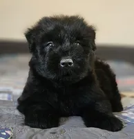 processed/7dcf7124-8518-490b-963a-97eea226ba5b/listing/df0c95bf-8358-463d-91c4-a0c4f25a5b83/5f60d080-dd8c-478b-ad53-a746cd93ec80