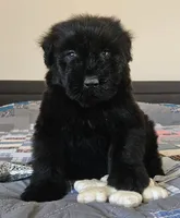 processed/7dcf7124-8518-490b-963a-97eea226ba5b/listing/df0c95bf-8358-463d-91c4-a0c4f25a5b83/d0ef78c2-2730-42c5-996c-e8512ce3d0c0