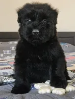 processed/7dcf7124-8518-490b-963a-97eea226ba5b/listing/df0c95bf-8358-463d-91c4-a0c4f25a5b83/f98958b1-6ced-4226-9cfd-29e9fa313014