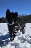 processed/7dcf7124-8518-490b-963a-97eea226ba5b/listing/ebbda699-5733-446d-973b-4d0c89e8621d/4cd83fa8-01fa-4c79-9ba4-117c9ed69256