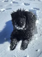 processed/7dcf7124-8518-490b-963a-97eea226ba5b/listing/ebbda699-5733-446d-973b-4d0c89e8621d/9b757bdf-f6db-4aaa-9c36-37518f60c22c