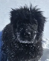 processed/7dcf7124-8518-490b-963a-97eea226ba5b/listing/ebbda699-5733-446d-973b-4d0c89e8621d/c7751949-2db6-4012-b7f1-498d55038aec