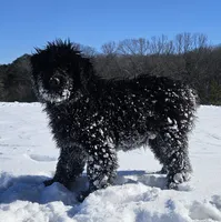 processed/7dcf7124-8518-490b-963a-97eea226ba5b/listing/ebbda699-5733-446d-973b-4d0c89e8621d/db022f83-c4f5-49cc-a43a-1c460058cae3