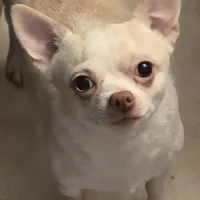 processed/7dd2ed9d-faf0-4dd6-abe2-16bb765eb7f0/facility/19deffd8-fdf9-469b-aa1e-2ae742bd71cb