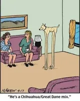 processed/7dd2ed9d-faf0-4dd6-abe2-16bb765eb7f0/facility/3f363d10-0518-493f-bb04-56b58d6a3291