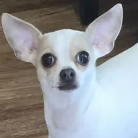 processed/7dd2ed9d-faf0-4dd6-abe2-16bb765eb7f0/facility/59c29d48-d71f-4945-a3b1-469c99d9c9bf