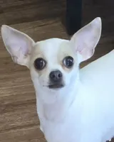 processed/7dd2ed9d-faf0-4dd6-abe2-16bb765eb7f0/facility/59c29d48-d71f-4945-a3b1-469c99d9c9bf